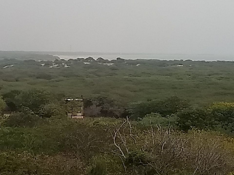Photo of All girls trip to the Rann of Kutch - An attempt to break the glass ceiling by Gautami Reddivari