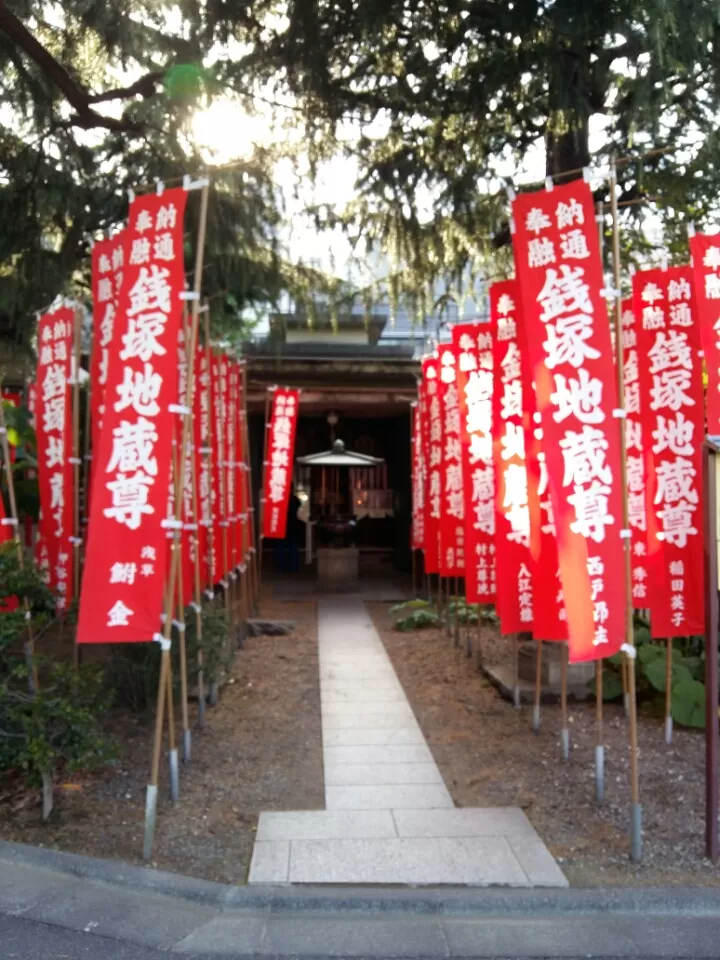 Photo of Tokyo, Mt. Fujiyama by Sapna