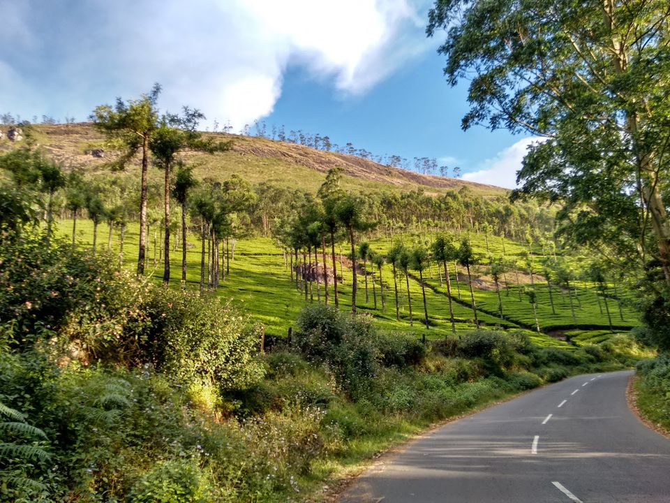 Photo of My first 1000+ kms trip - (Bangalore - Munnar - Kodaikanal - Bangalore) by Mayukh Nandi