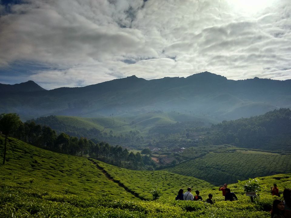 Photo of My first 1000+ kms trip - (Bangalore - Munnar - Kodaikanal - Bangalore) by Mayukh Nandi
