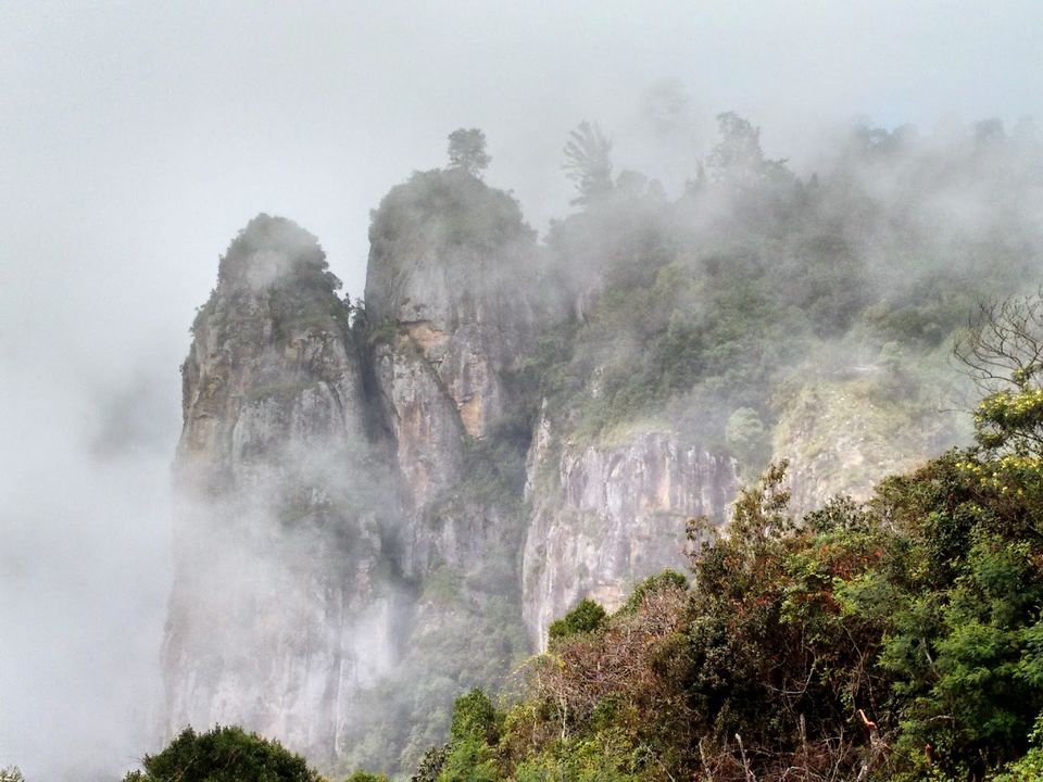 Photo of My first 1000+ kms trip - (Bangalore - Munnar - Kodaikanal - Bangalore) by Mayukh Nandi