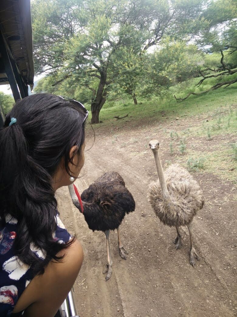 Photo of Mauritius Island, Mauritius by Never-ending-footsteps by Richa Shah..