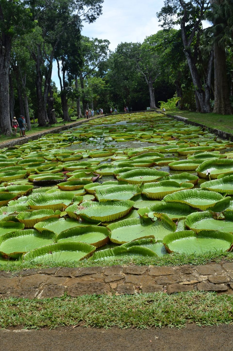 Photo of Mauritius Island, Mauritius by Never-ending-footsteps by Richa Shah..