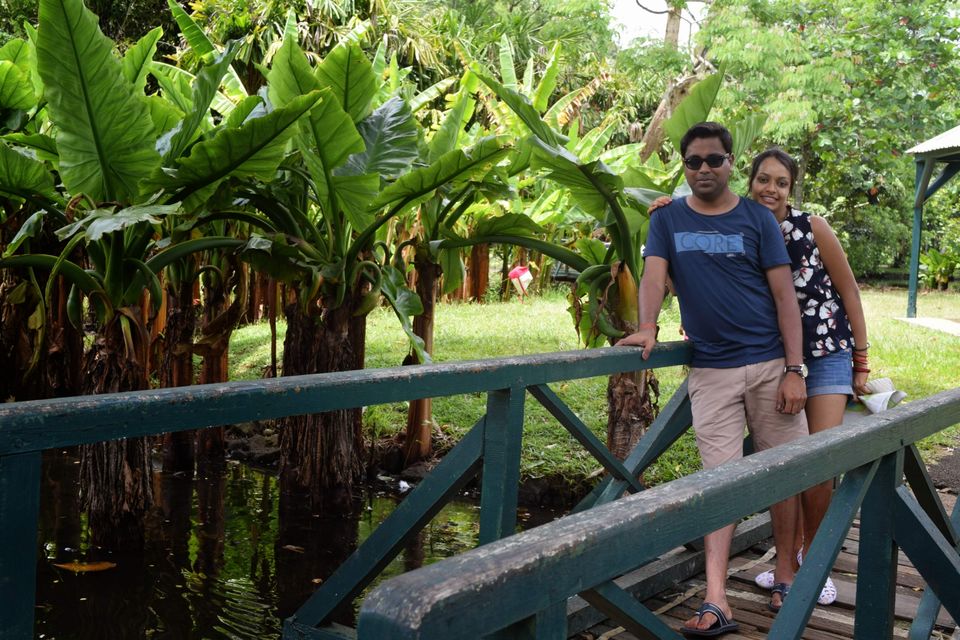 Photo of Mauritius Island, Mauritius by Never-ending-footsteps by Richa Shah..