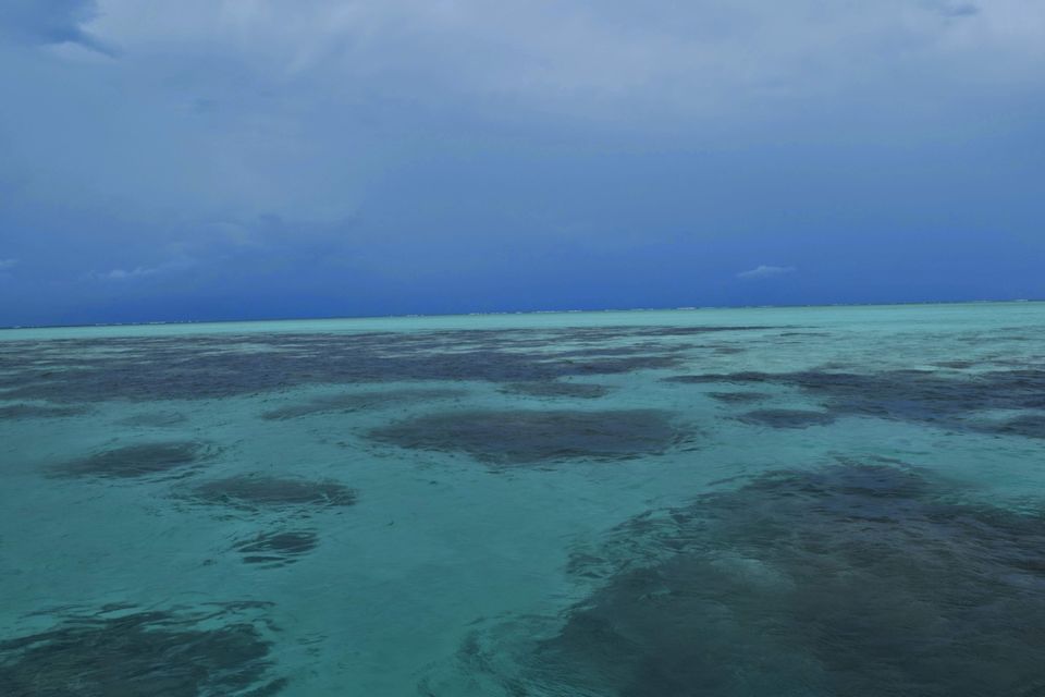 Photo of Mauritius Island, Mauritius by Never-ending-footsteps by Richa Shah..