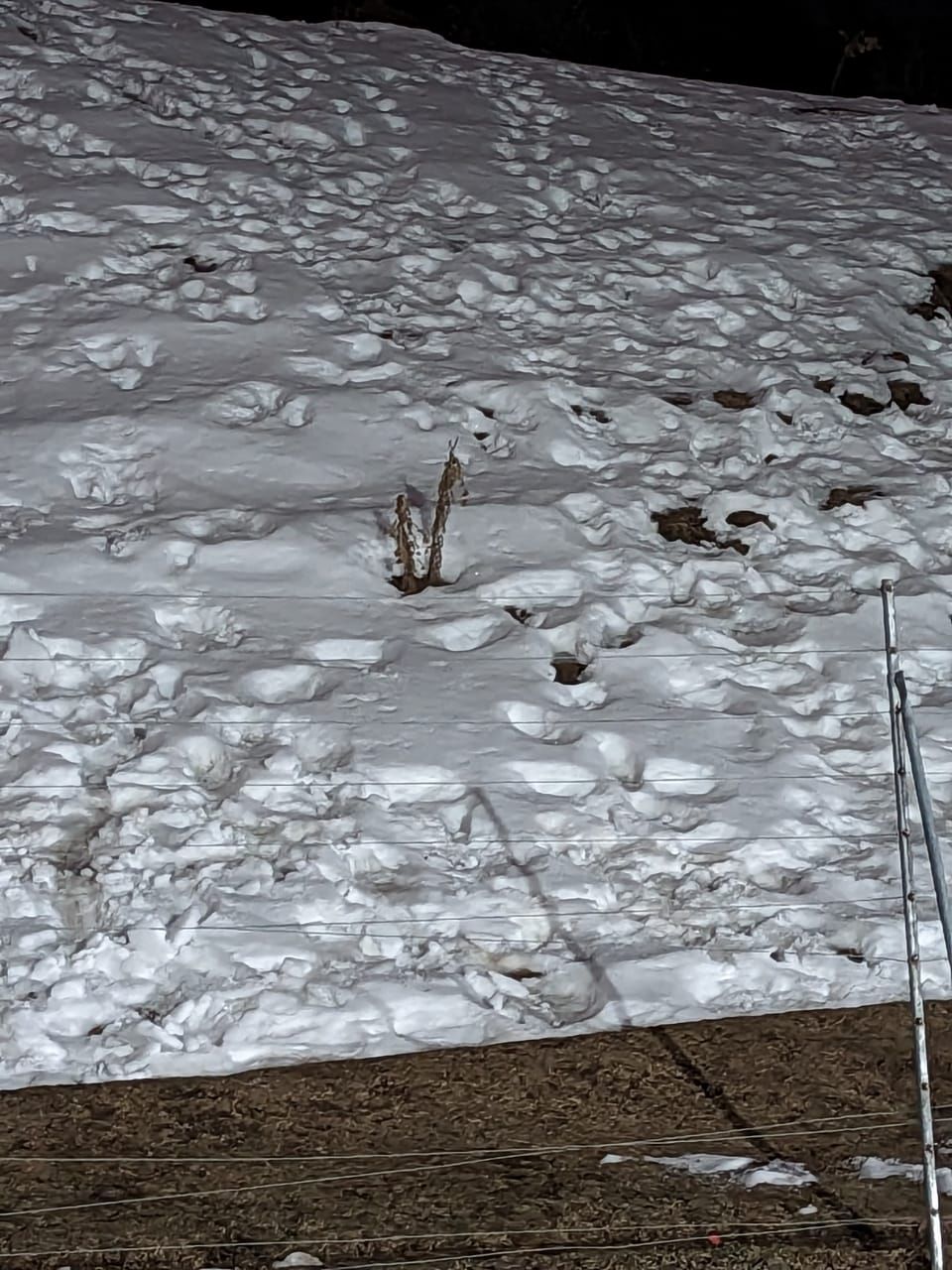 Photo of Winter Trek to Prashar lake by Never-ending-footsteps by Richa Shah..