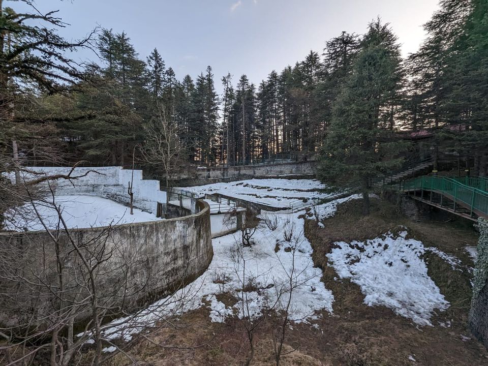 Photo of Winter Trek to Prashar lake by Never-ending-footsteps by Richa Shah..