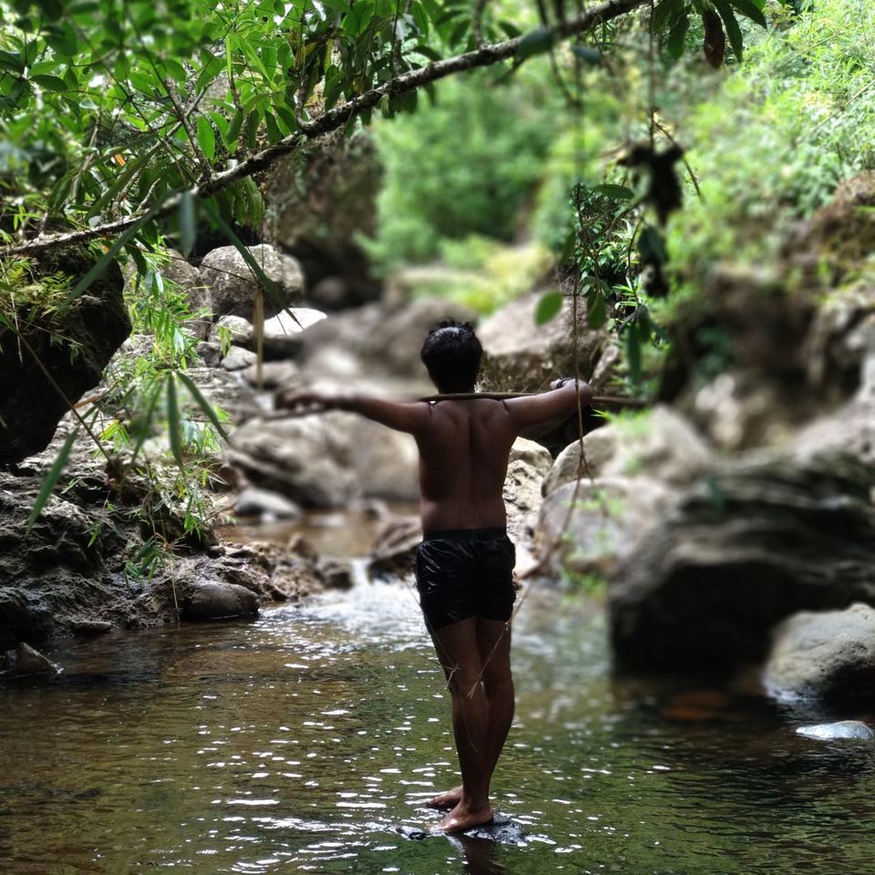 Photo of '900 Kandi' -The Wild Where I Want To Get Lost Forever. by Sahad Mk