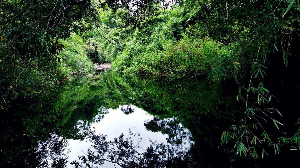 Photo of '900 Kandi' -The Wild Where I Want To Get Lost Forever. by Sahad Mk