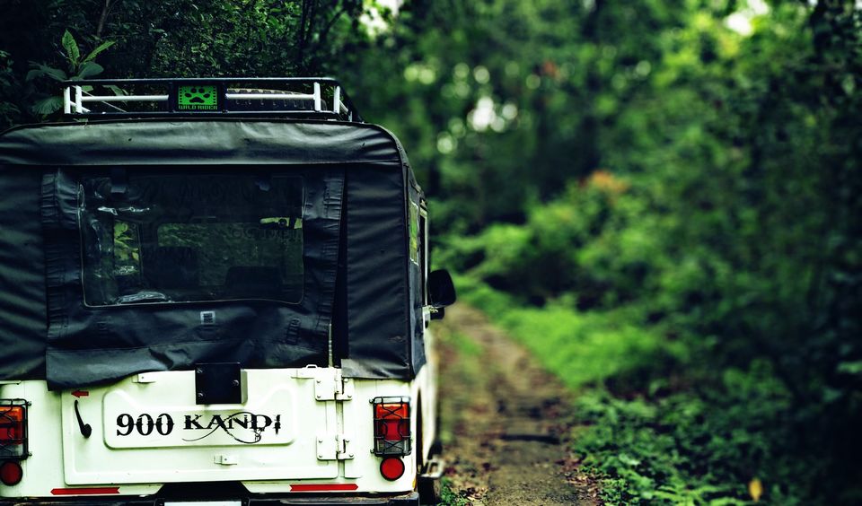Photo of 900 Kandi - The Wild Where I Want To Get Lost Forever by Sahad Mk