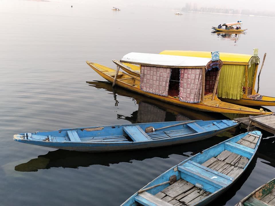 Photo of My kashmir 1/7 by Shruti Parasuram