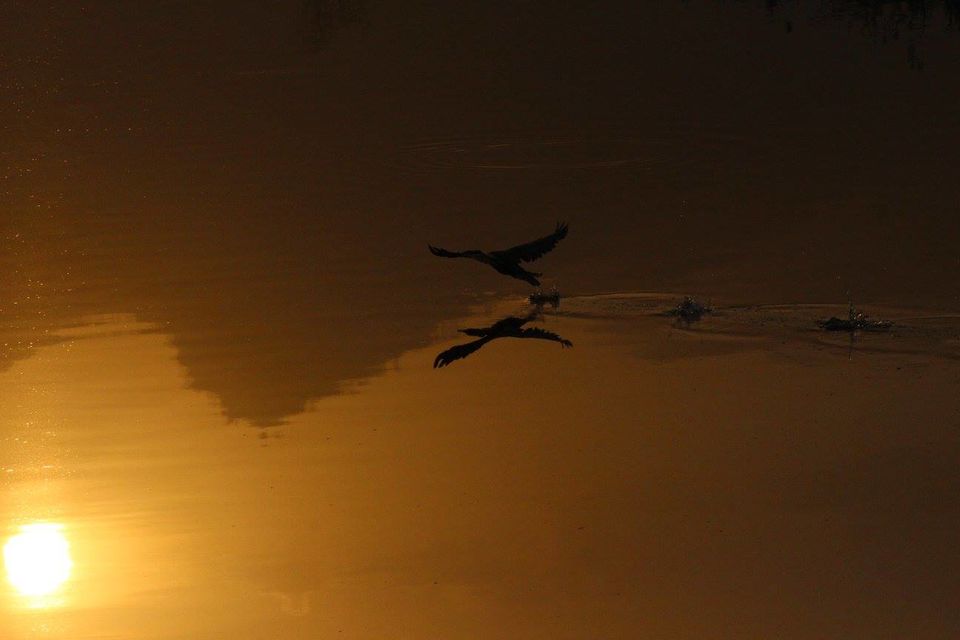 Photo of Rajasthan Diaries..... 7/14 by Kar Tik