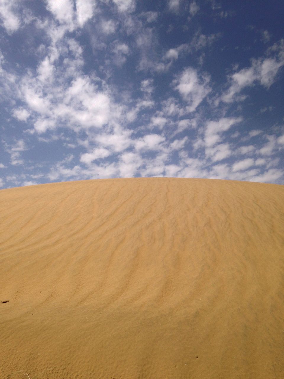 Photo of Rajasthan Diaries..... 12/14 by Kar Tik