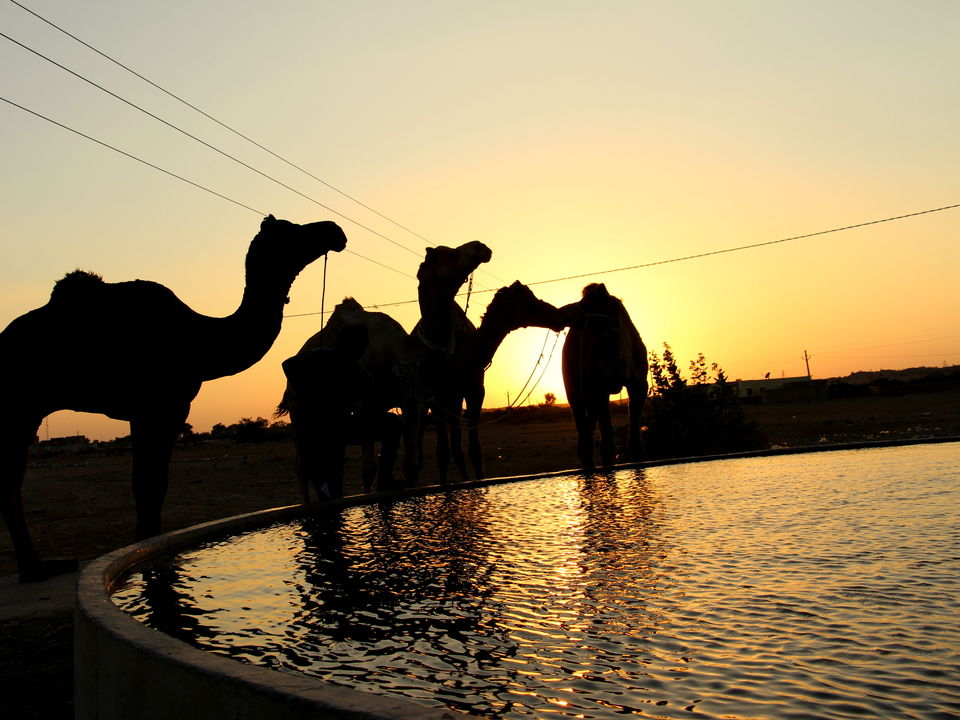 Photo of Rajasthan Diaries..... 14/14 by Kar Tik