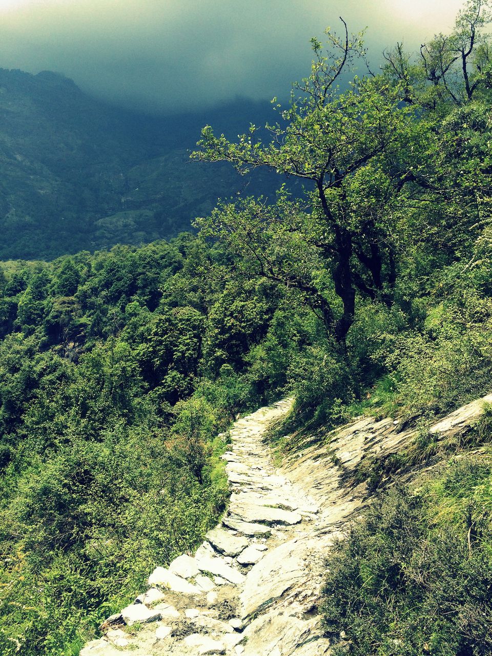 Photo of RUDRANATH : A JOURNEY OF FINDING SELF 7/19 by Kar Tik