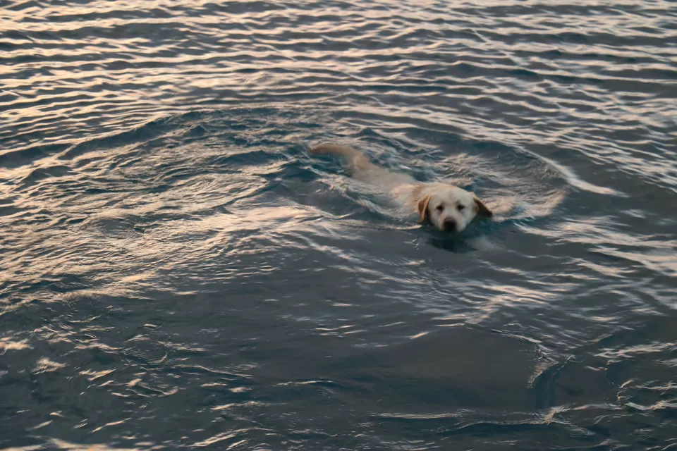 Photo of Zadar, Croatia by Sagarika Mohanty