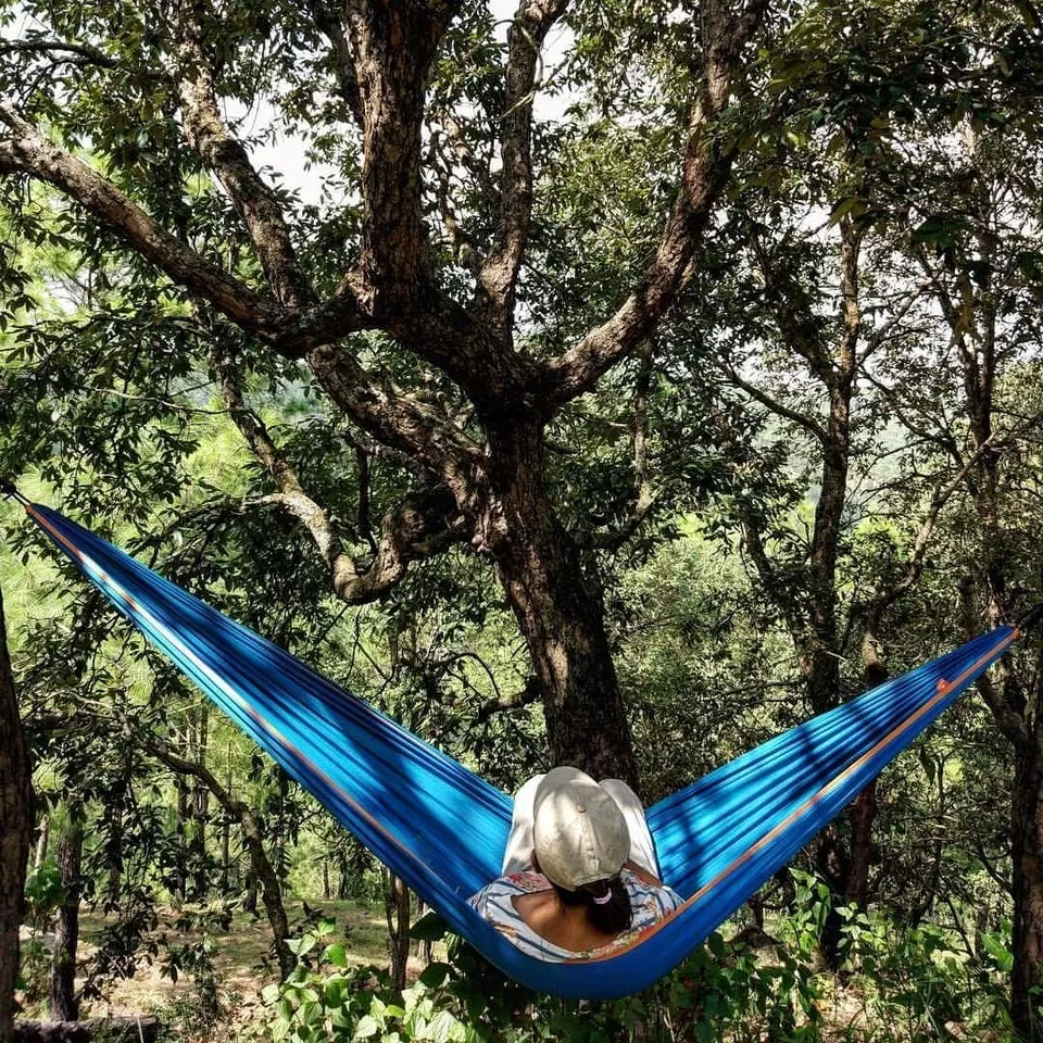 Photo of Nayalap, Almora Range, Uttarakhand, India by Tanuja Sah