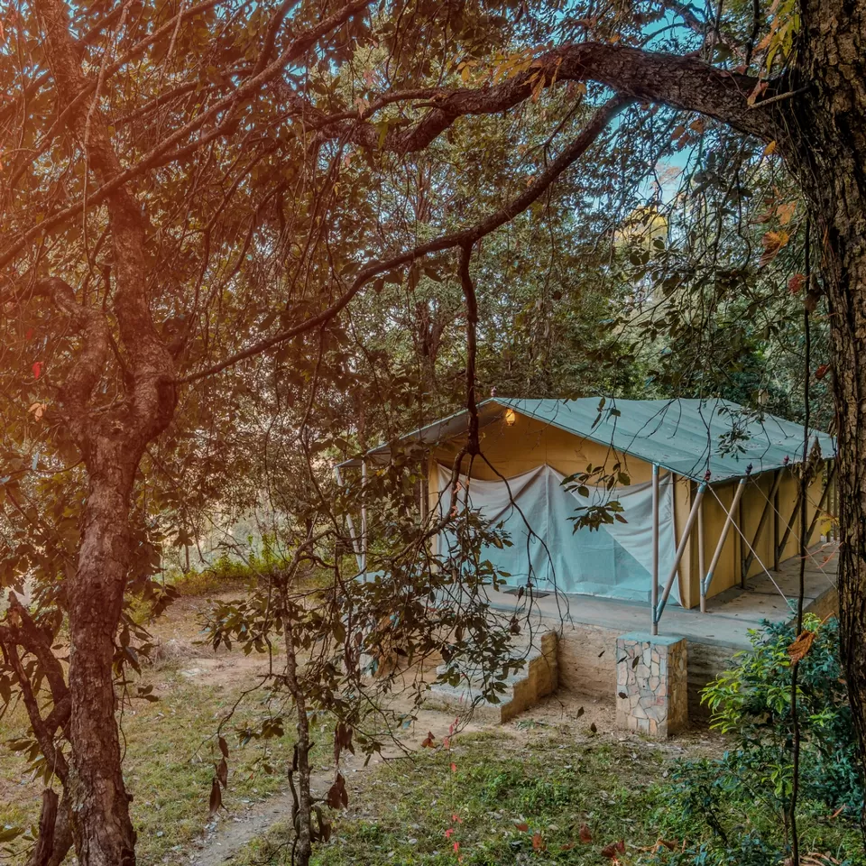 Photo of Nayalap, Almora Range, Uttarakhand, India by Tanuja Sah