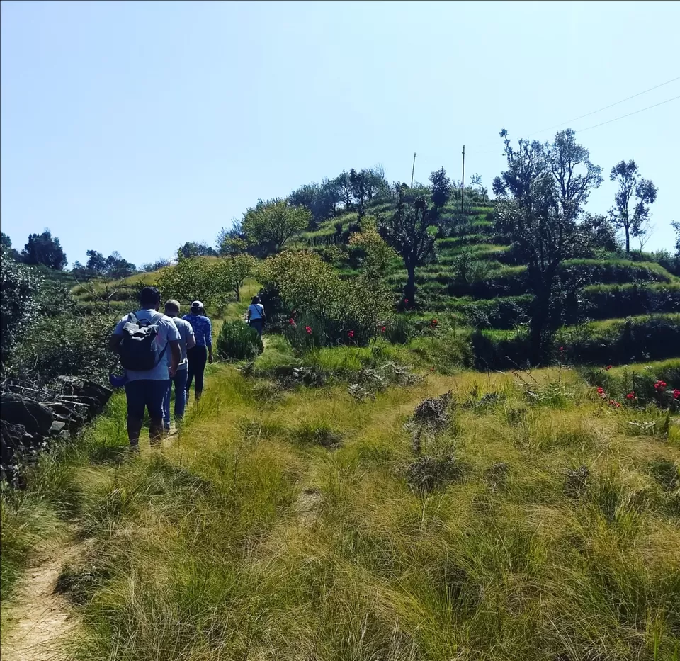 Photo of Nayalap, Almora Range, Uttarakhand, India by Tanuja Sah