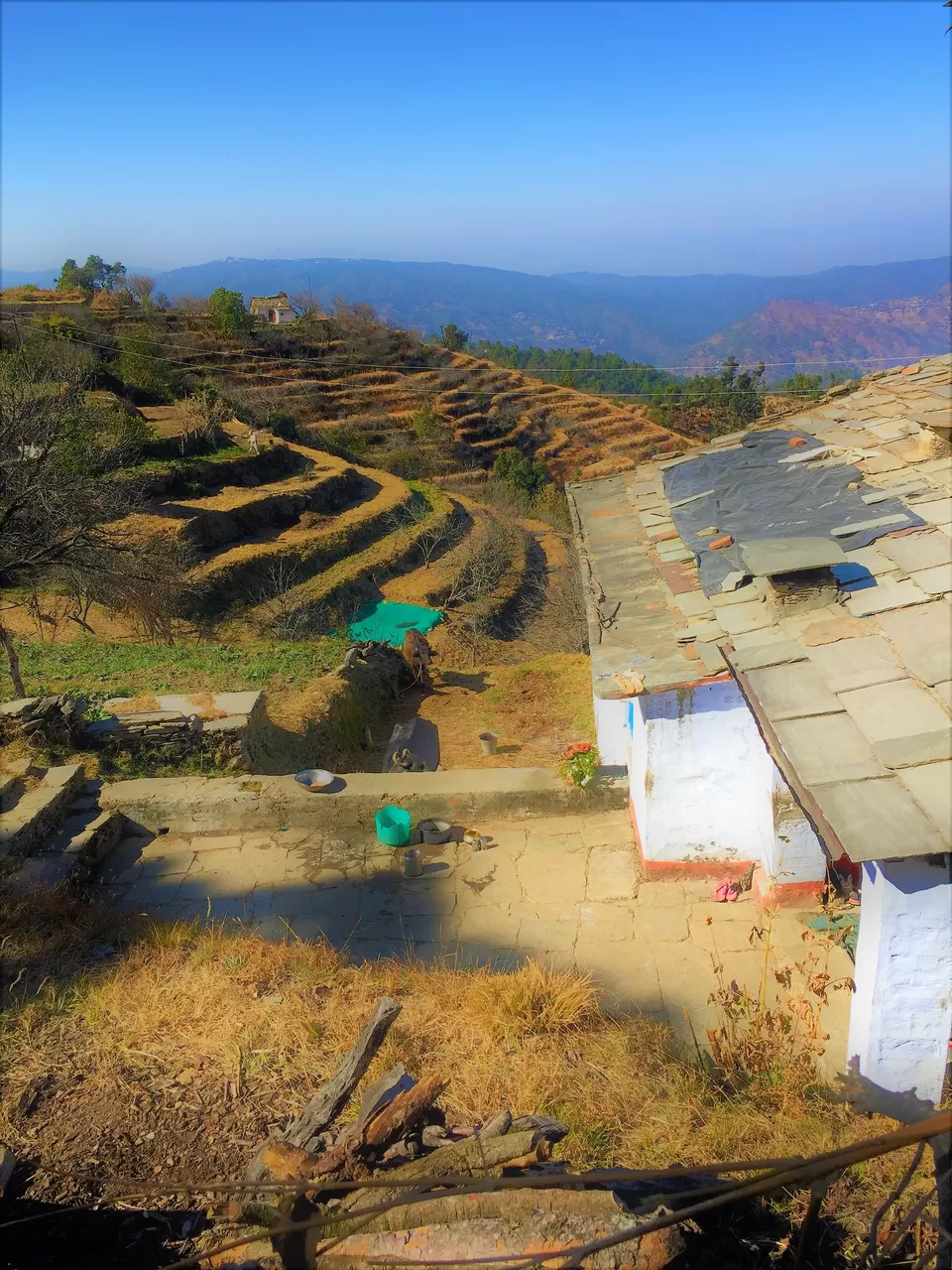 Photo of Nayalap, Almora Range, Uttarakhand, India by Tanuja Sah