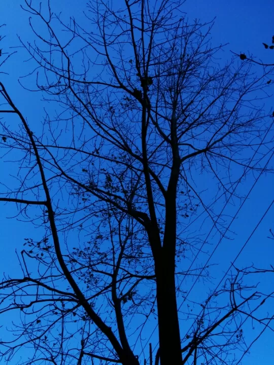 Photo of Nainital by Rasshi Ganeriwal
