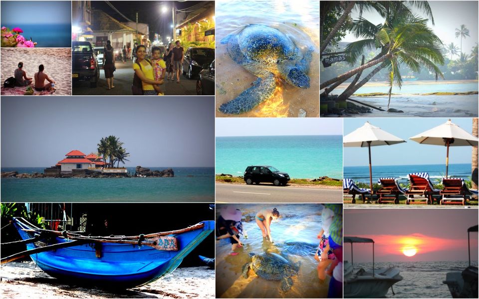 Photo of One Quarter Ceylon 6/11 by Kanu Priya Singh