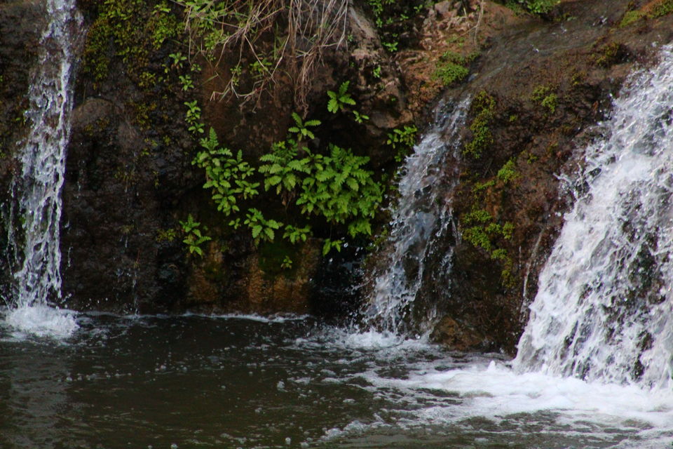 Photo of Wildlife tour across Gujarat by Vistas