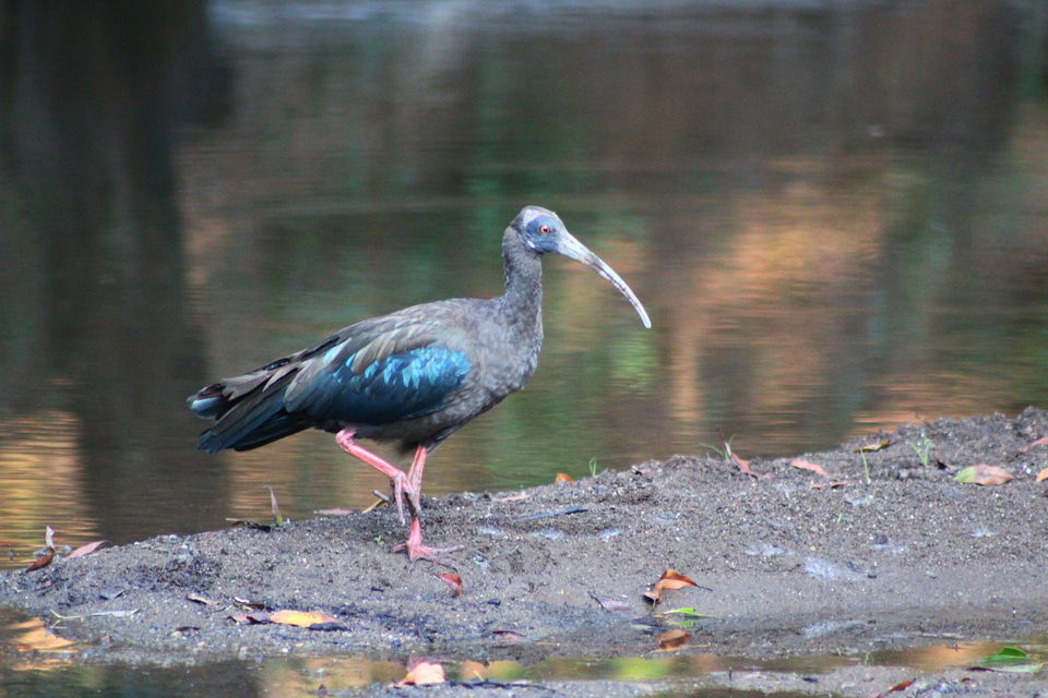 Photo of Wildlife tour across Gujarat by Vistas