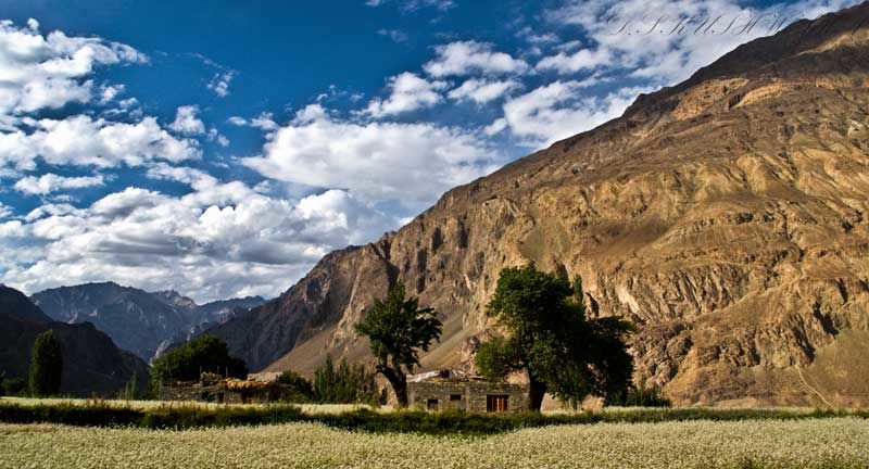 Photo of Nubra Valley – The Silk Route experience by Vistas