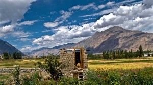 Photo of Nubra Valley – The Silk Route experience by Vistas