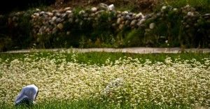 Photo of Nubra Valley – The Silk Route experience by Vistas