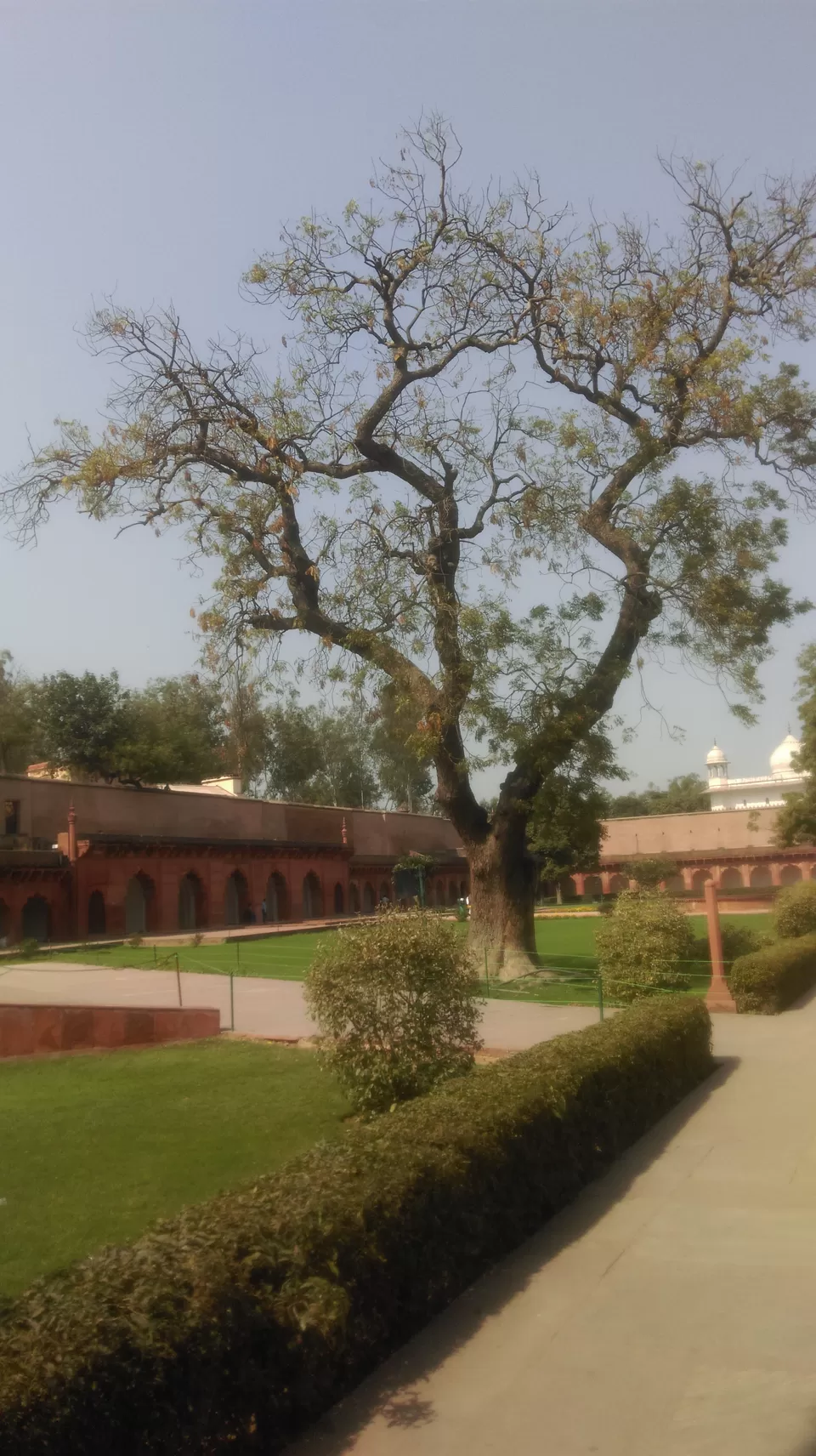 Photo of Agra Fort, Agra, Uttar Pradesh, India by Padmini Barua