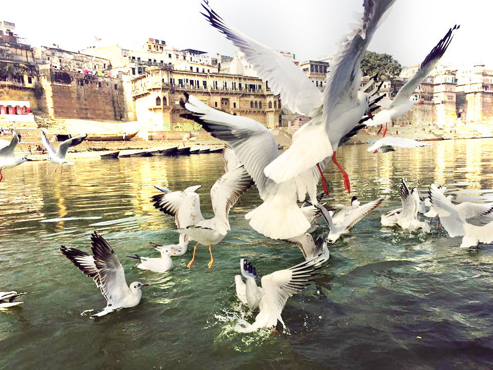 Photo of Food and Music and Boat Rides in Varanasi by Bat Travels