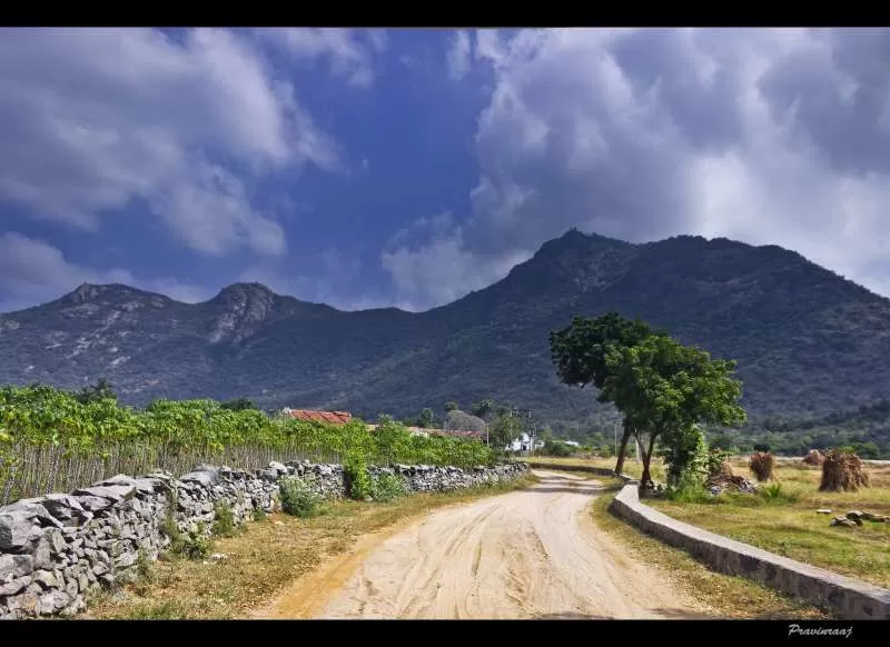 Photo of Kolli Hills, Tamil Nadu by Sonal Agarwal