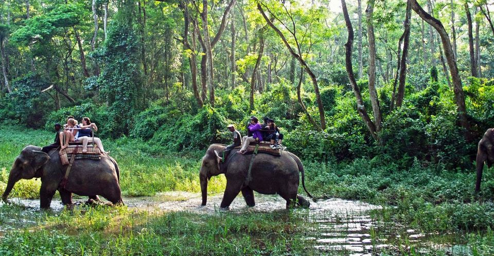 Photo of Sauraha, Ratnanagar, Nepal by Sonal Agarwal