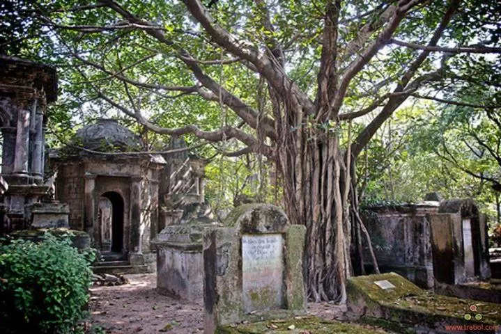 Photo of South Park Street Cemetery, Mullick Bazar, Park Street area, Kolkata, West Bengal, India by Sonal Agarwal