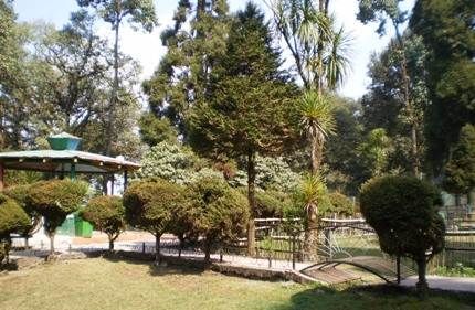 Photo of Giddhe Pahar View Point, North Shibkhola Tea Garden, West Bengal, India by Sonal Agarwal
