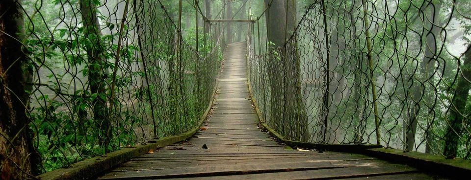 Photo of Lolegaon, West Bengal, India by Sonal Agarwal