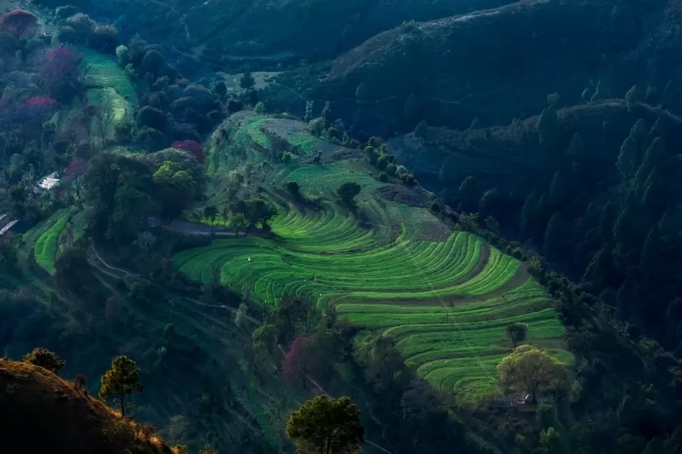 Photo of Pithoragarh, Uttarakhand, India by Sonal Agarwal