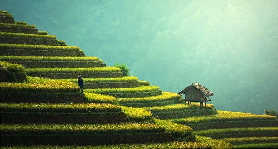 Photo of Chakrata, Uttarakhand, India by Sonal Agarwal