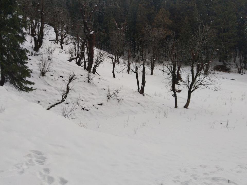 Photo of Kedarkantha- Trek Himalayas 21/57 by Yagnesh