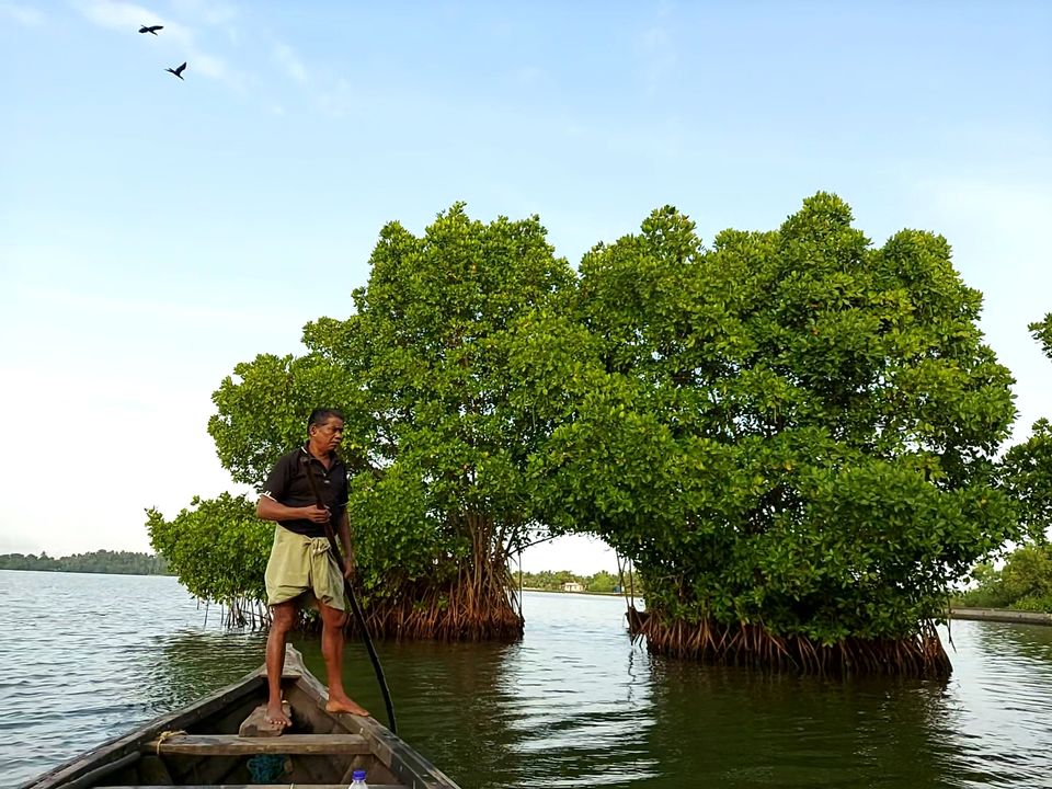 Photo of Munroe Island by Shree Joshi