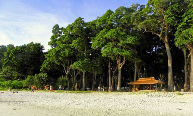Photo of Andaman's Pride: Havelock Island. 3/5 by Suchismita Bose