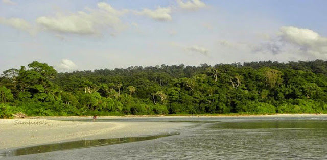 Photo of Andaman's Pride: Havelock Island. 5/5 by Suchismita Bose
