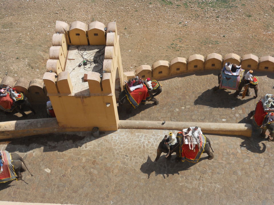 Photo of Colors and Clan of Rajasthan in 18 images! #rajasthaninphotos 8/17 by Gaurav