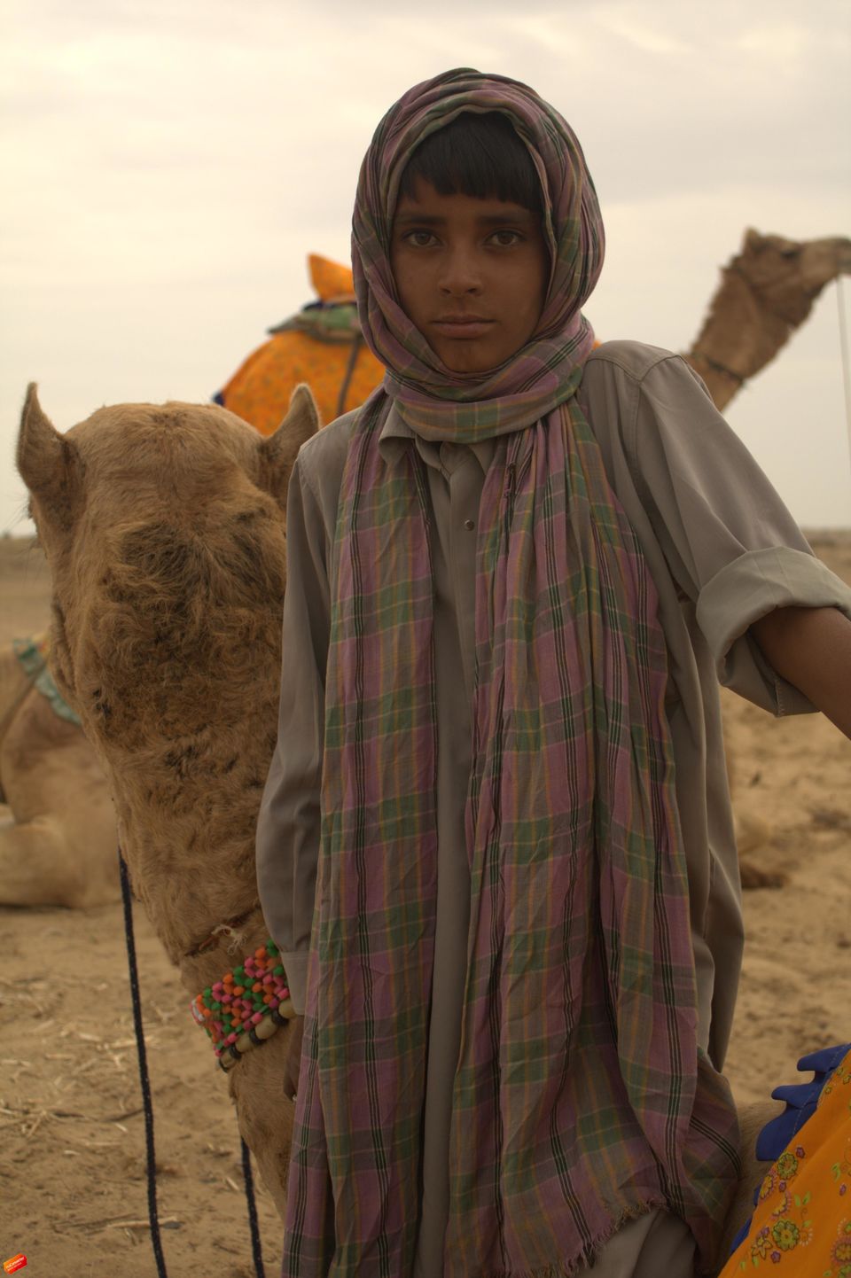 Photo of Colors and Clan of Rajasthan in 18 images! #rajasthaninphotos 10/17 by Gaurav