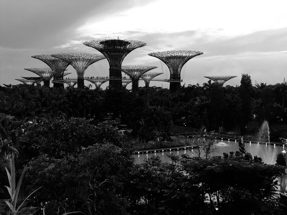 Photo of Gardens By The Bay East, Singapore by Mn_says