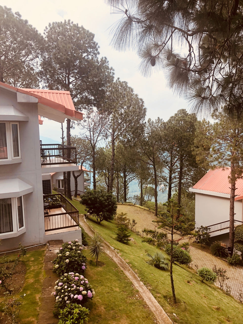 Photo of Perfect Hilly Weekend Getaway from Delhi- 5 hour drive to paradise<3 by Mn_says