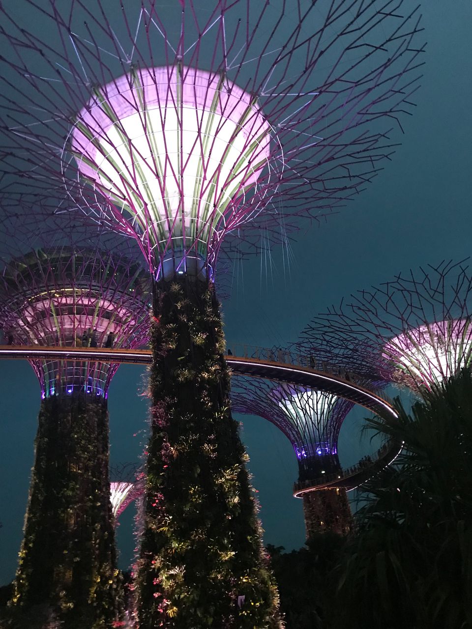 Photo of Gardens By The Bay East, Singapore by Mn_says