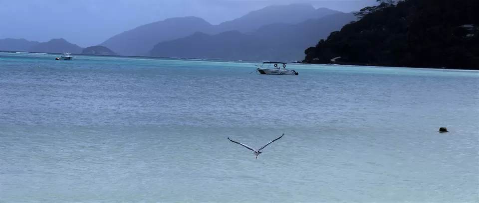 Photo of Anse Boileau, Seychelles by Abhinav Sharma